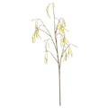 Alder Tree Spray Yellow (121cm)