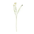 Cream Cornflower Spray (65cm)