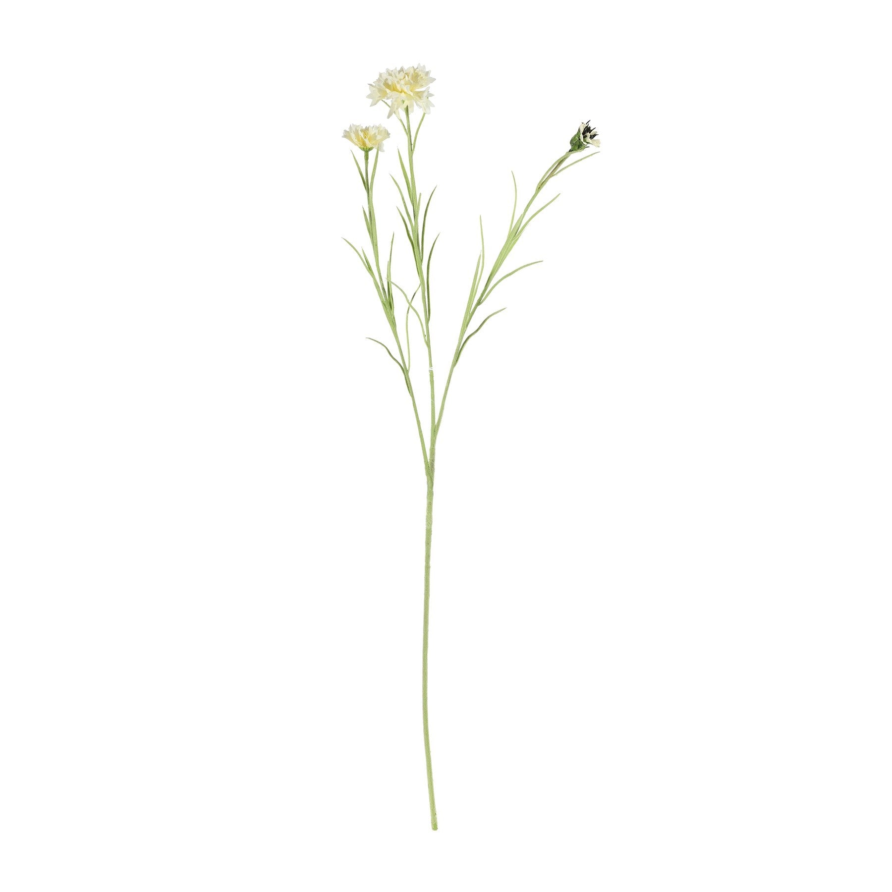 Cream Cornflower Spray (65cm)