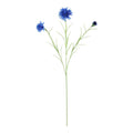 Dark Blue Cornflower Spray (65cm)