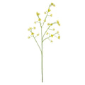Cornus Mas Tree Flower Yellow (75cm)