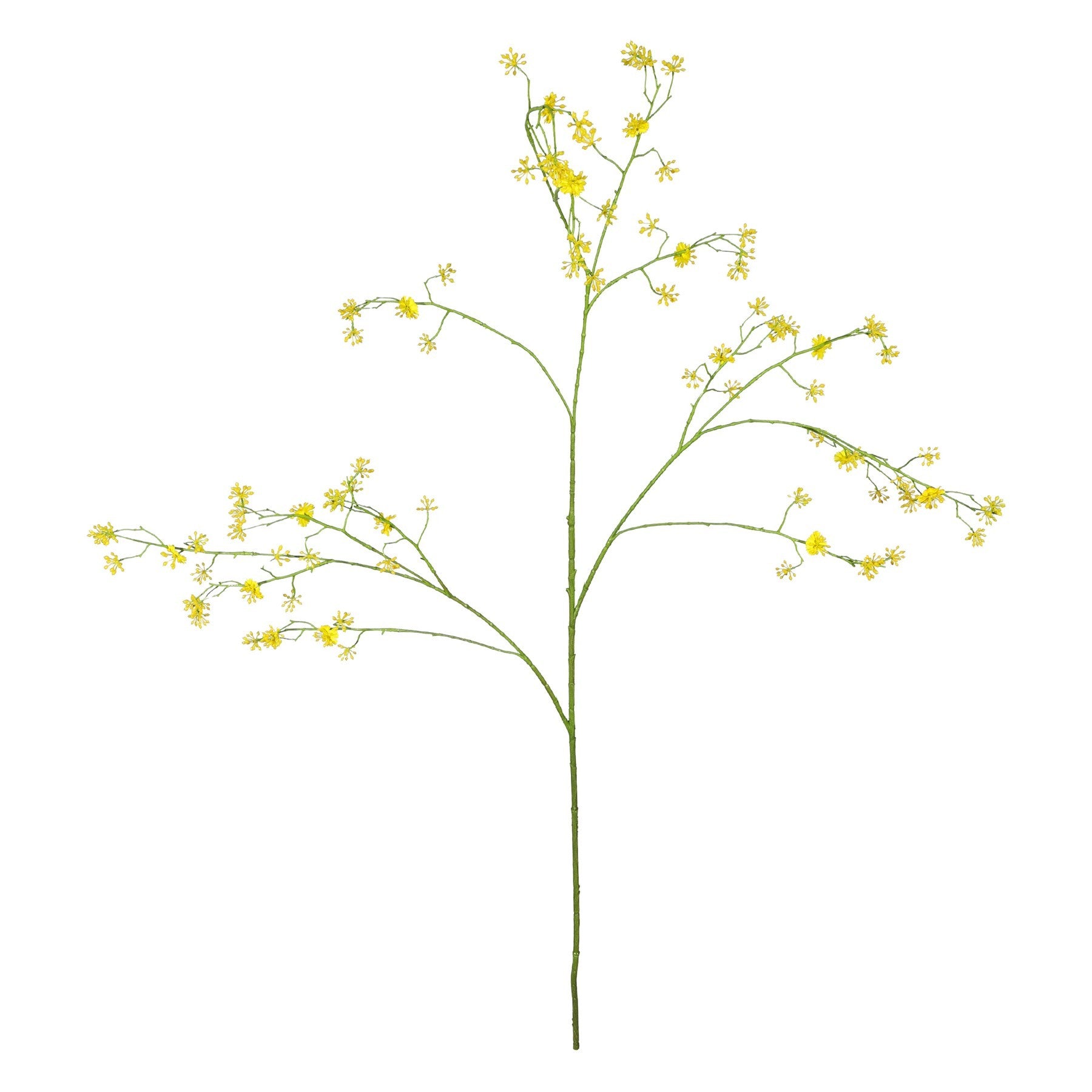 Yellow Cornus Mas Tree Flower (123cm)