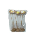 Bird Nest with Eggs Pick