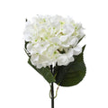 Cream Hydrangea Extra Large (60cm)