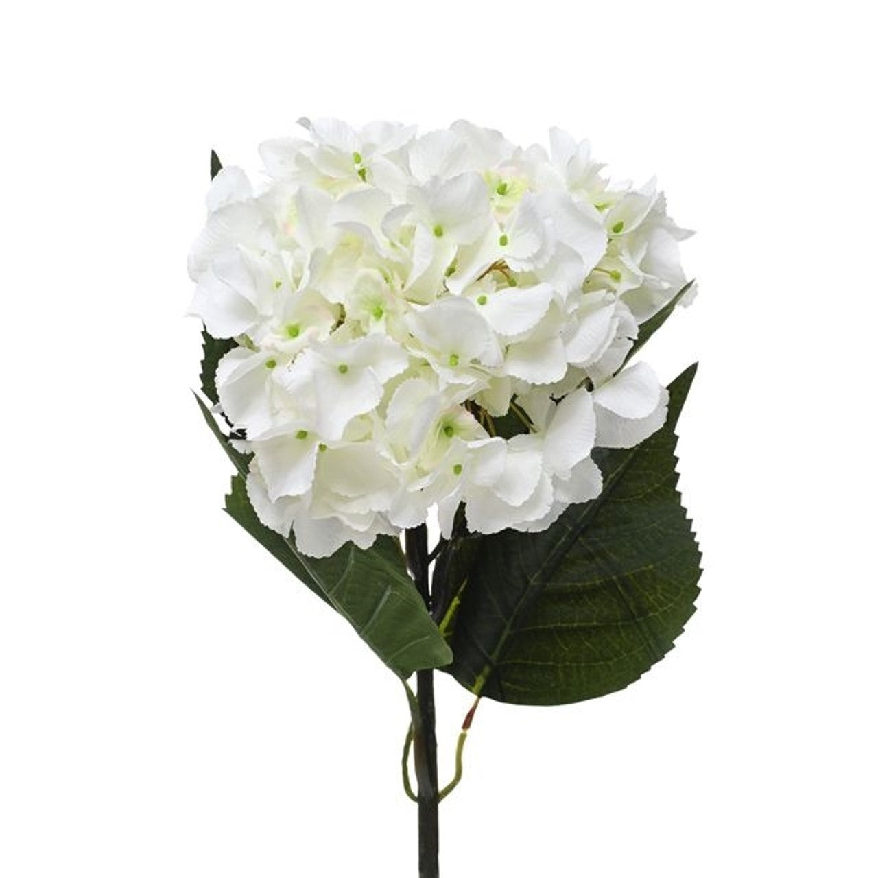 Cream Hydrangea Extra Large (60cm)