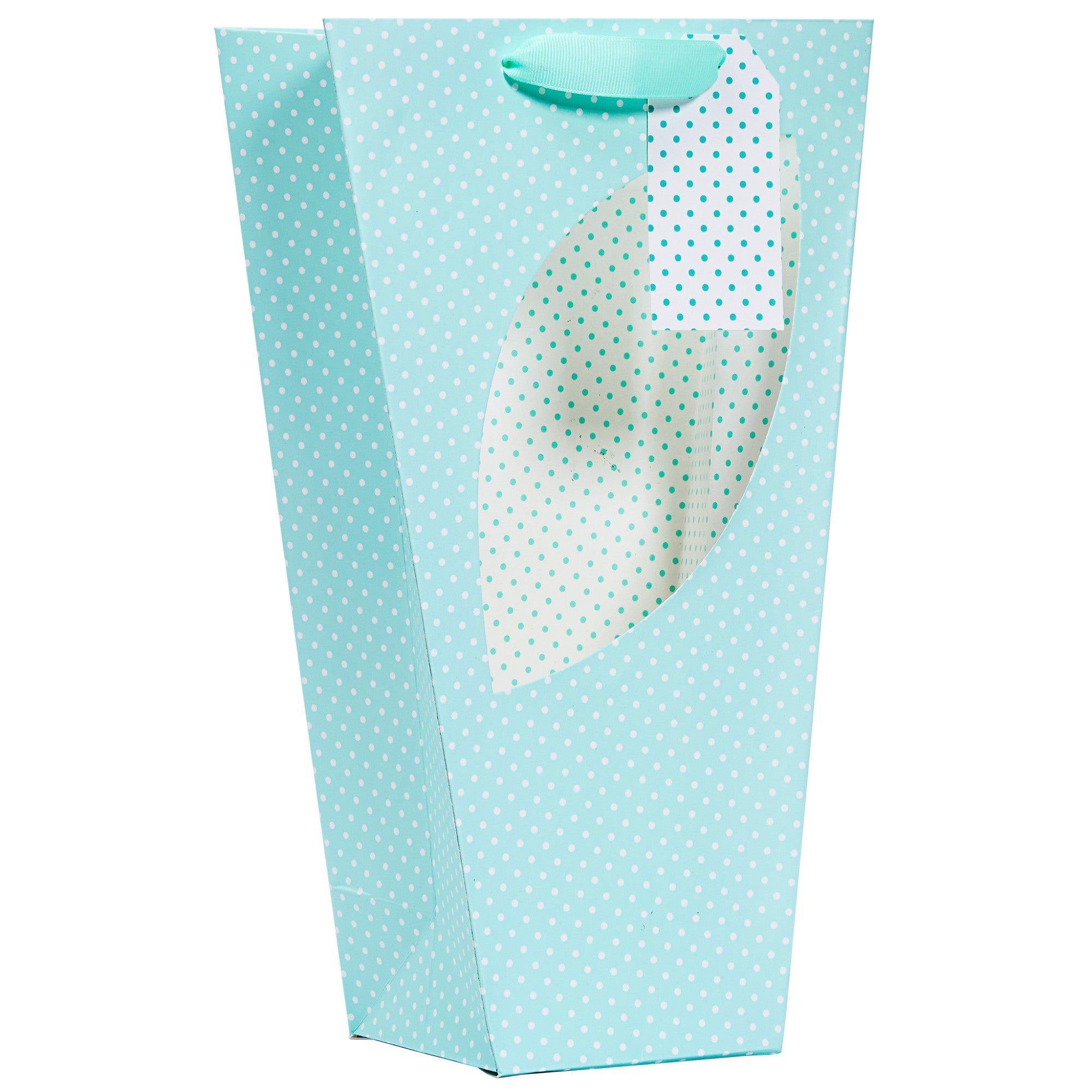Mint Polka Orchid Bag (Medium)