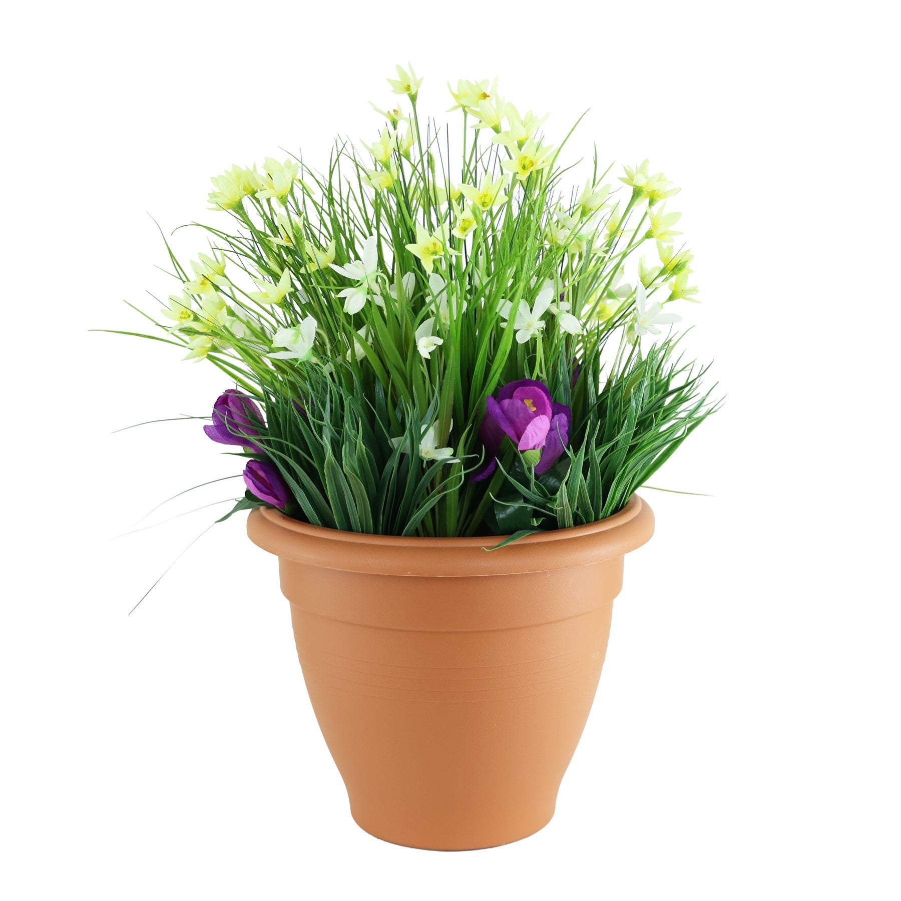 Starflower &amp; Snowdrop Patio Planter