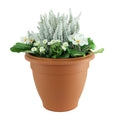White Erica &amp; Primrose Patio Planter