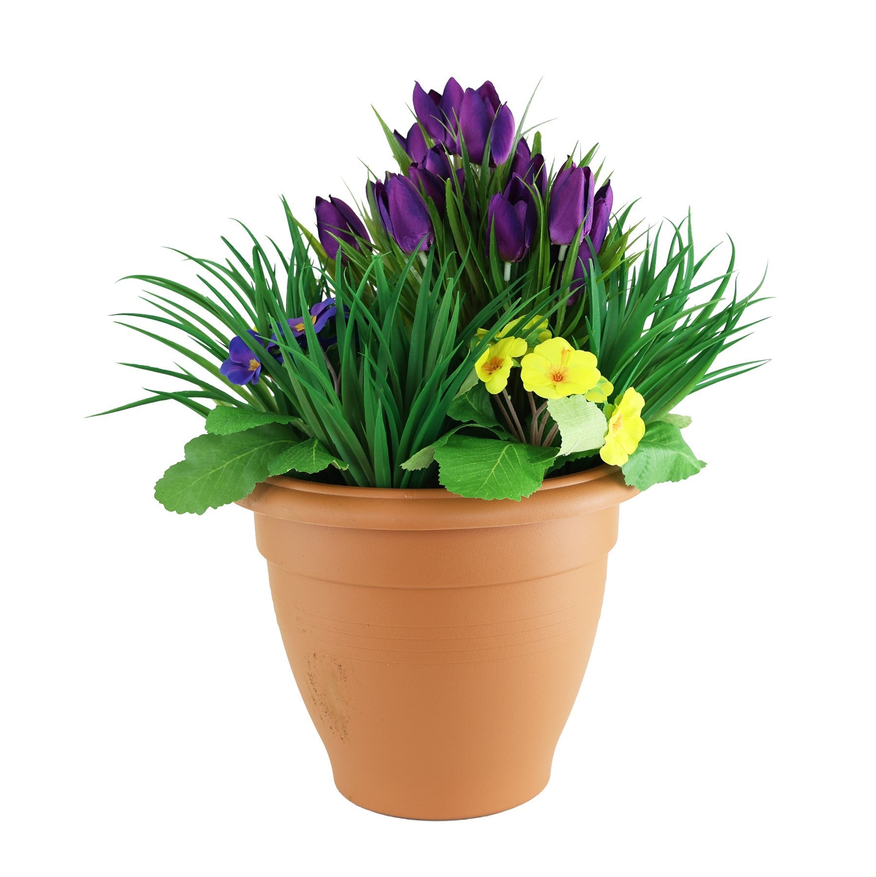 Purple &amp; Yellow Tulip Patio Planter