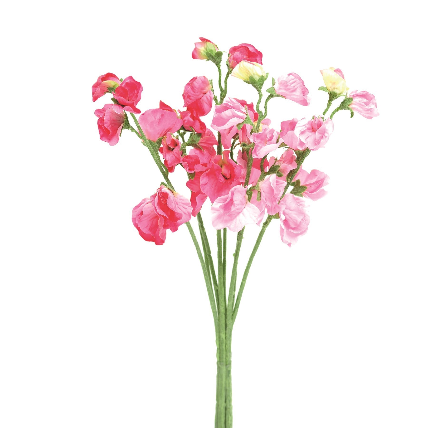 Pink Sweetpea Bunch