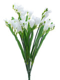 Cream Freesia Bush (12 Stems)