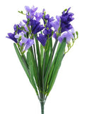 Lavender Freesia Bush (12 Stems)