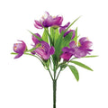 Purple Crocus Bush (23cm)
