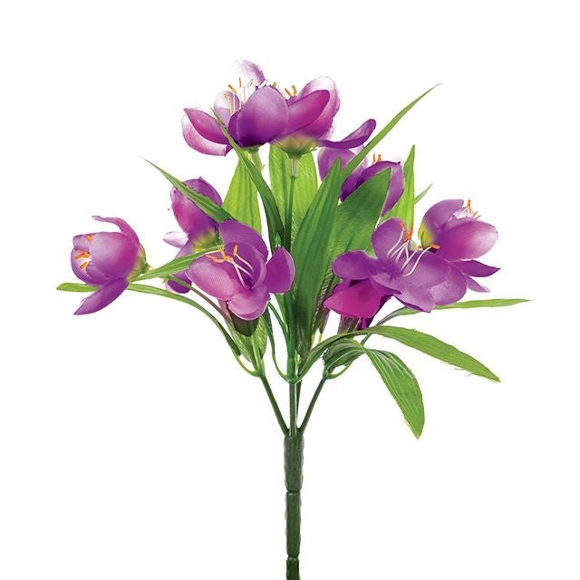 Purple Crocus Bush (23cm)