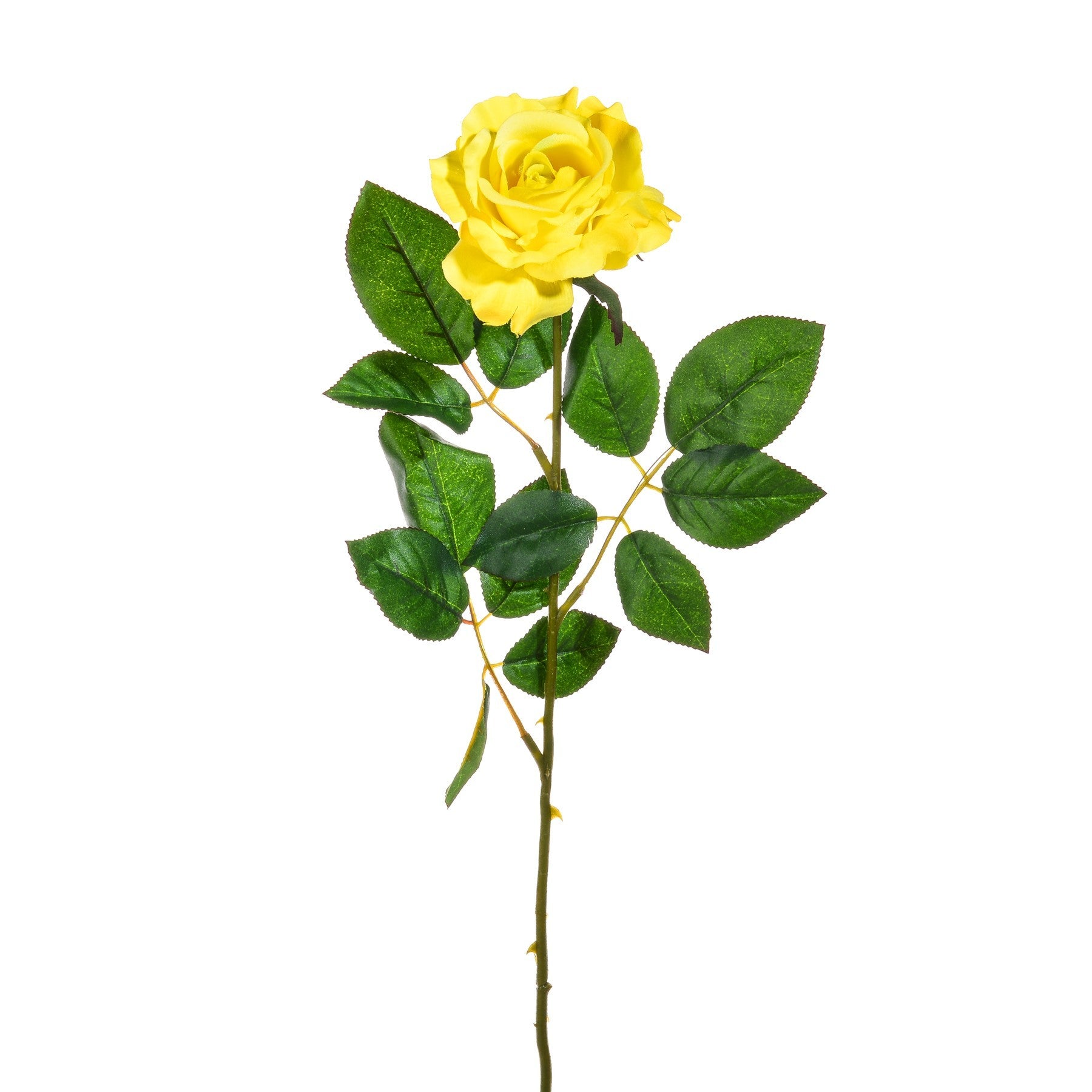 Premium Yellow Rose Medium (69cm)