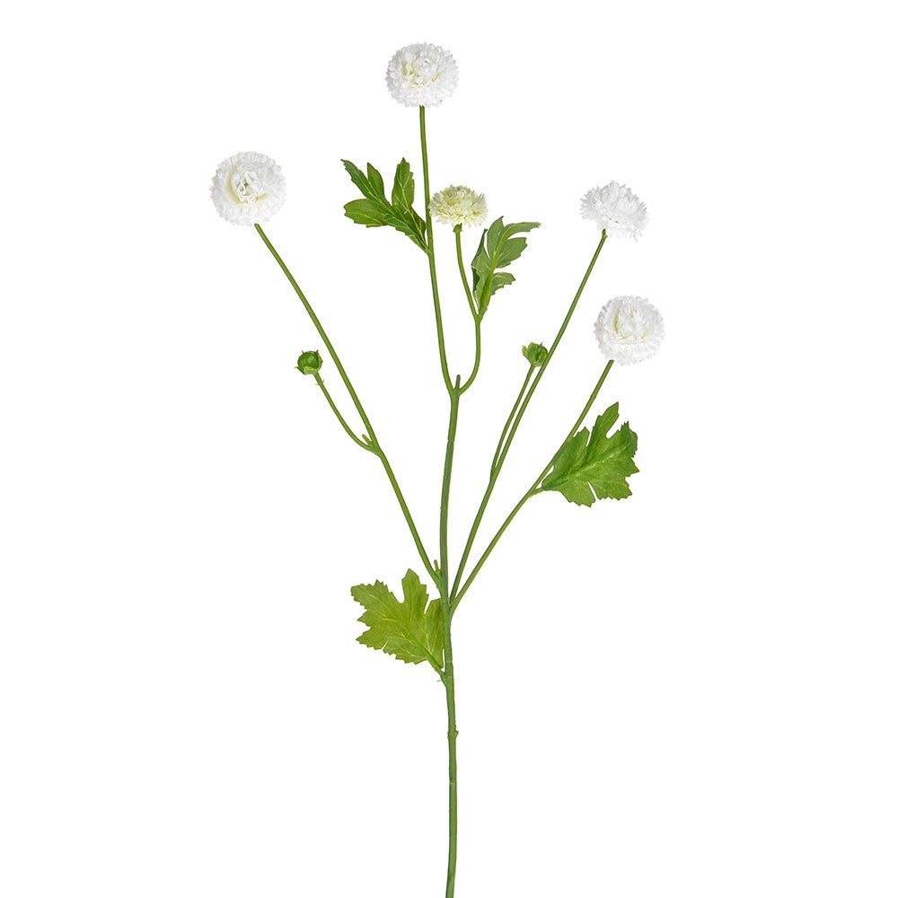 Cream Aster Spray (64cm)