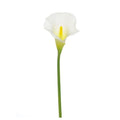 Calla Lily Cream Med Head (66Cm)