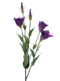 Purple Lisianthus Spray X5