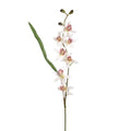 White Mini Orchid Stem