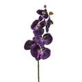 Purple Orchid Phalaenopsis (75cm)