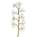 Orchid Cymbidium White (54cm)