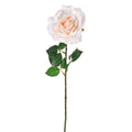 Peach Luna Rose (64cm)