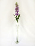 Lavender Stocks (87cm)