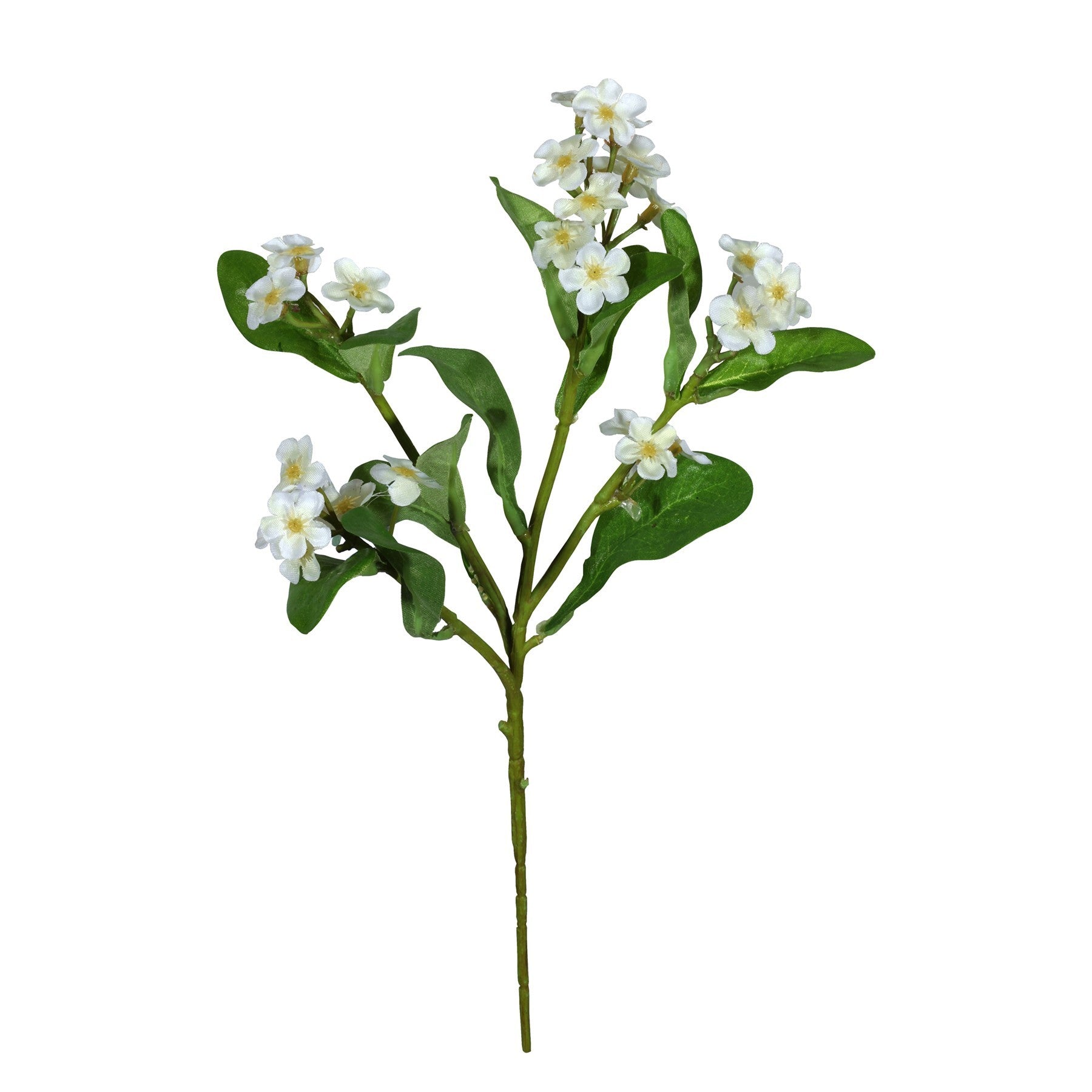 Cream Forget-Me-Not (24cm)