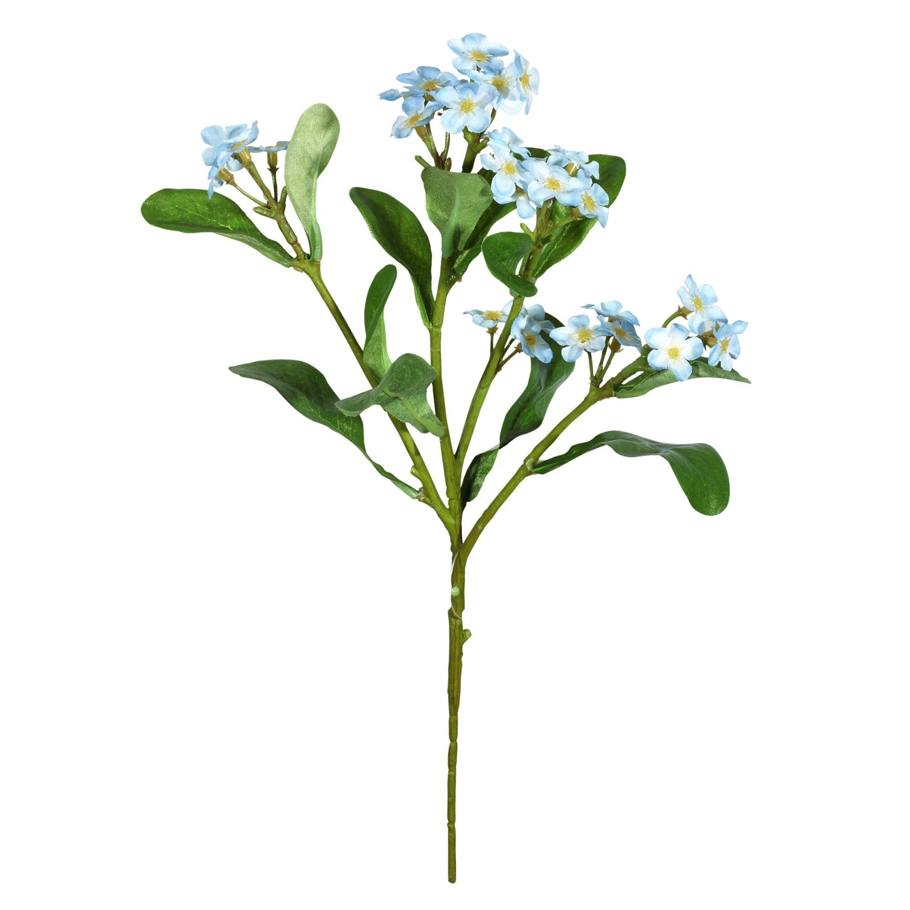 Light Blue Forget-Me-Not (24cm)