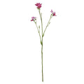 Purple Belamcanda Chinensis Spray (60cm)