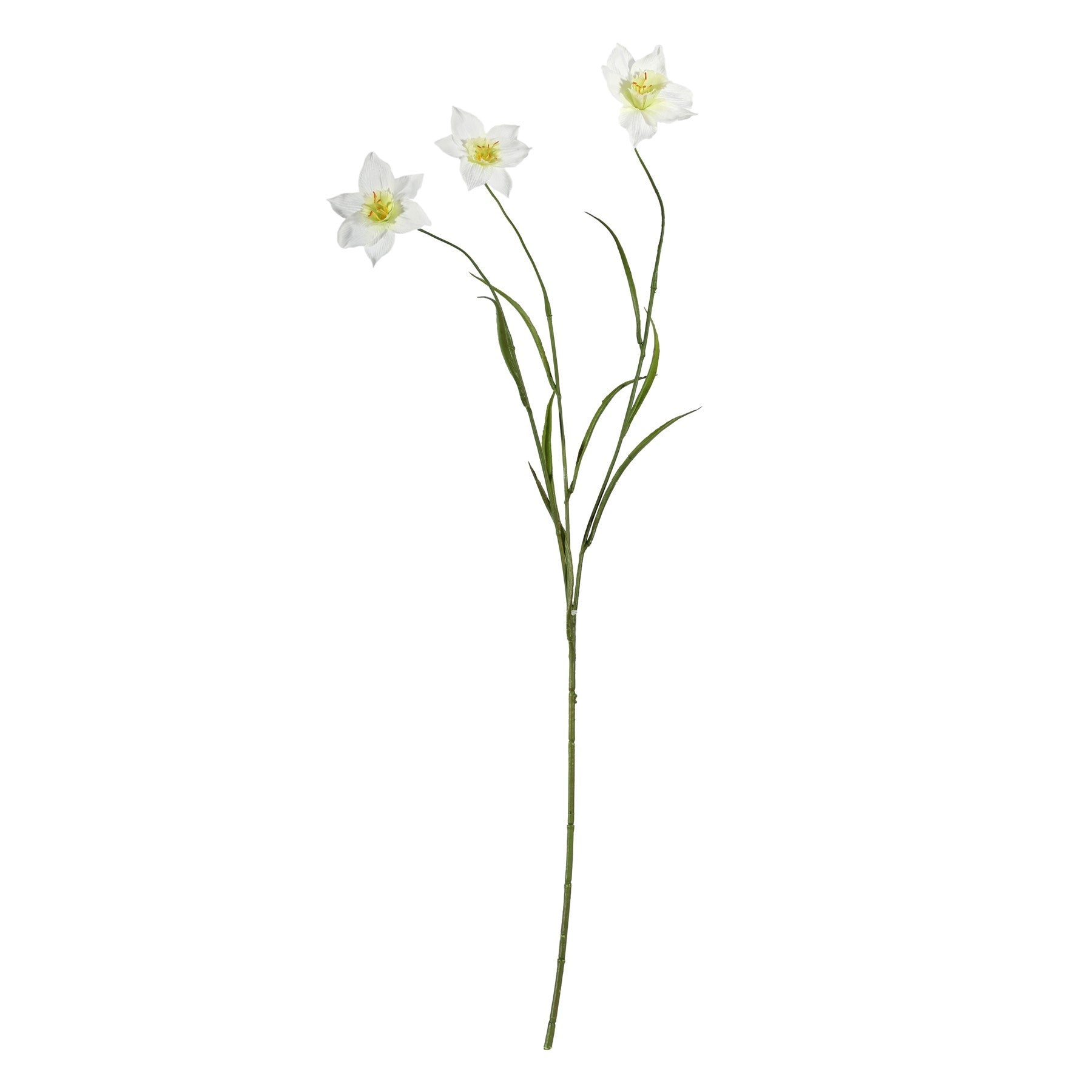 Cream Daffodil Spray (70cm)