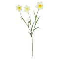 Yellow Daffodil Spray (70cm)
