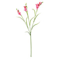 Dark Pink Freesia Spray (63cm)