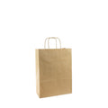 Brown Kraft Paper Bag (22x10x30cm)