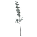 Delphinium Spray (89cm)