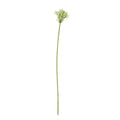 Green Agapanthus Stem (77cm)