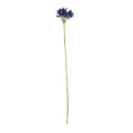 Dark Blue Agapanthus Stem (77cm)