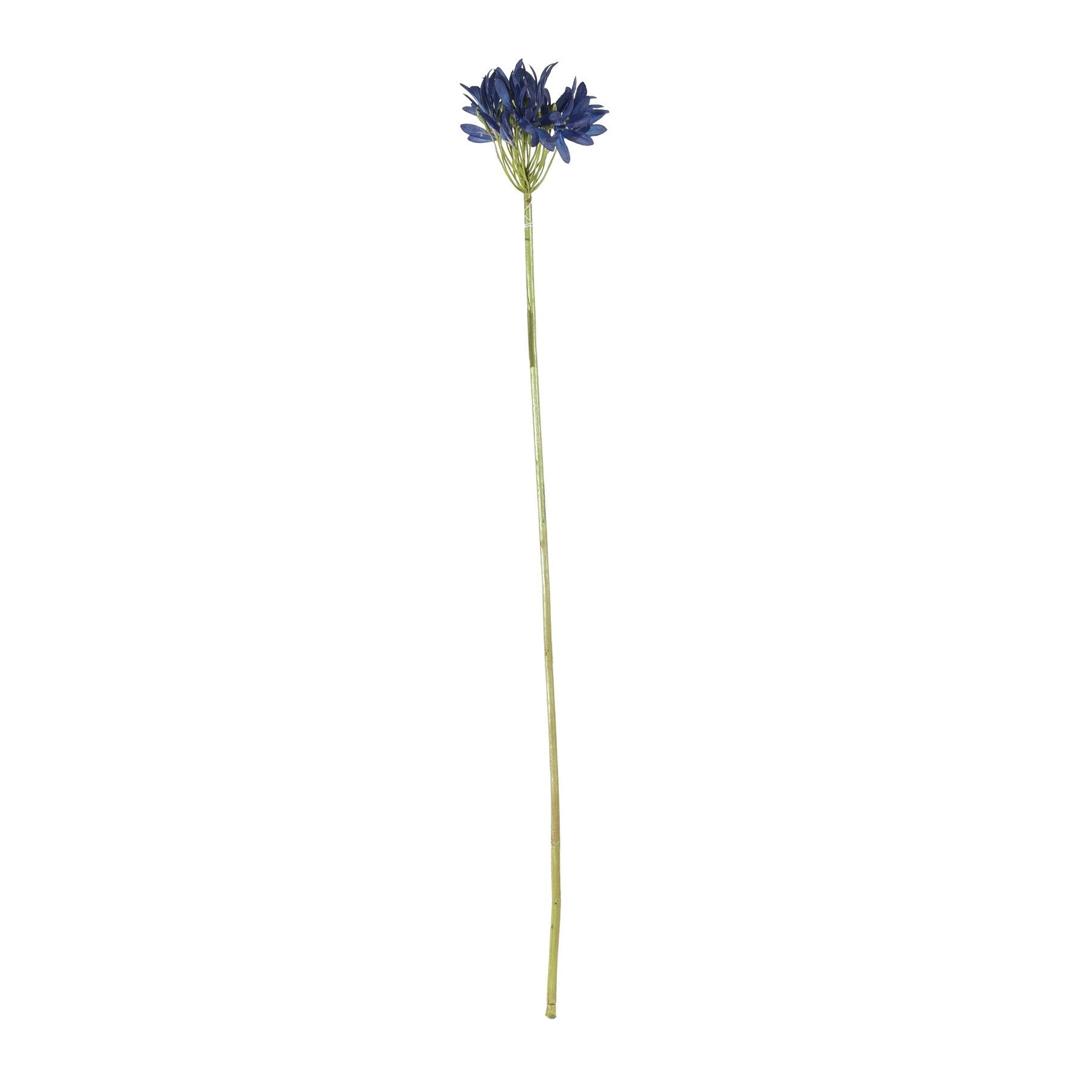 Dark Blue Agapanthus Stem (77cm)