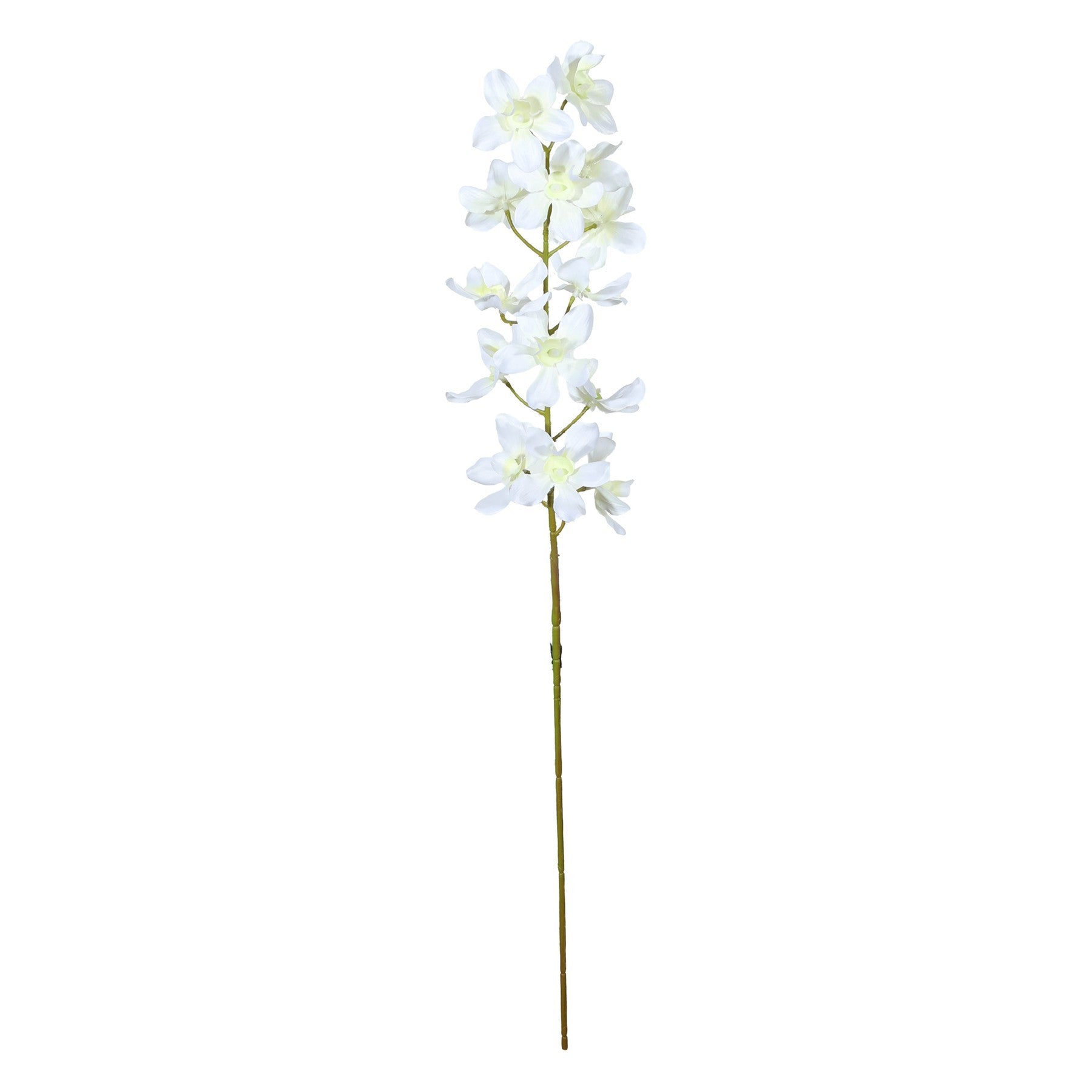 Cream Dendrobium Orchid Spray (72cm)