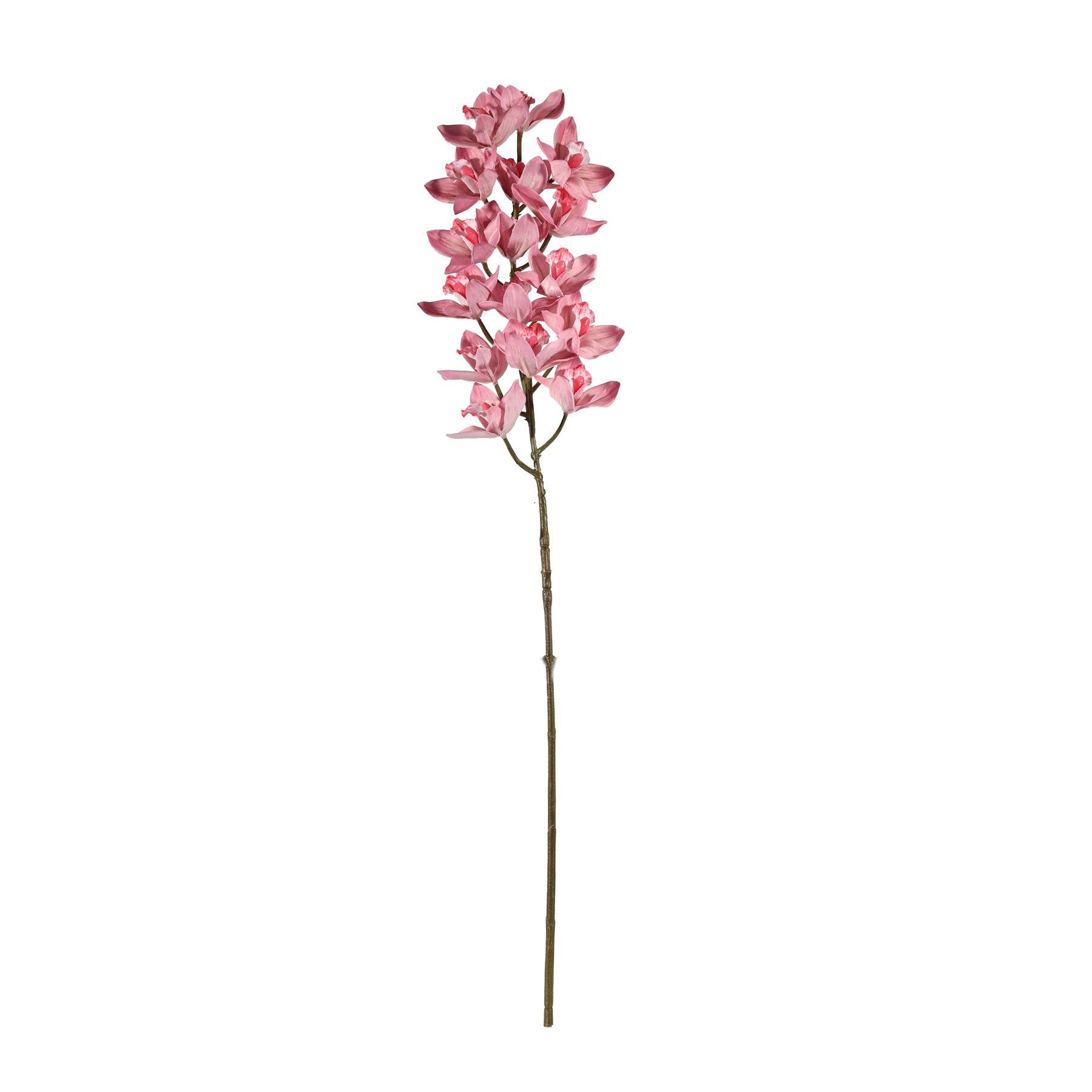 Pink Cymbidium Orchid Spray (80cm)