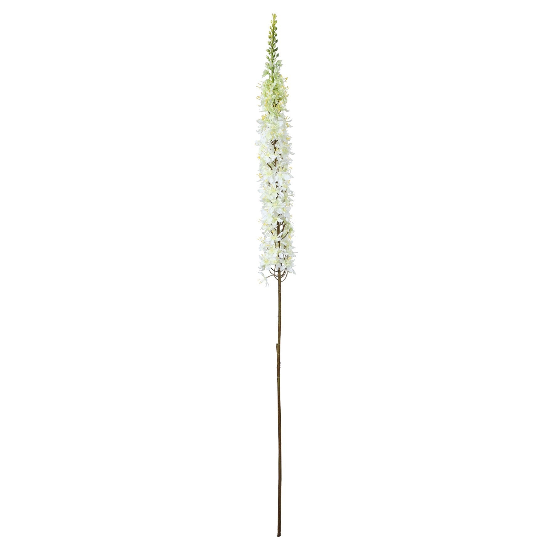 Cream Single Foxtail Lily (109cm)
