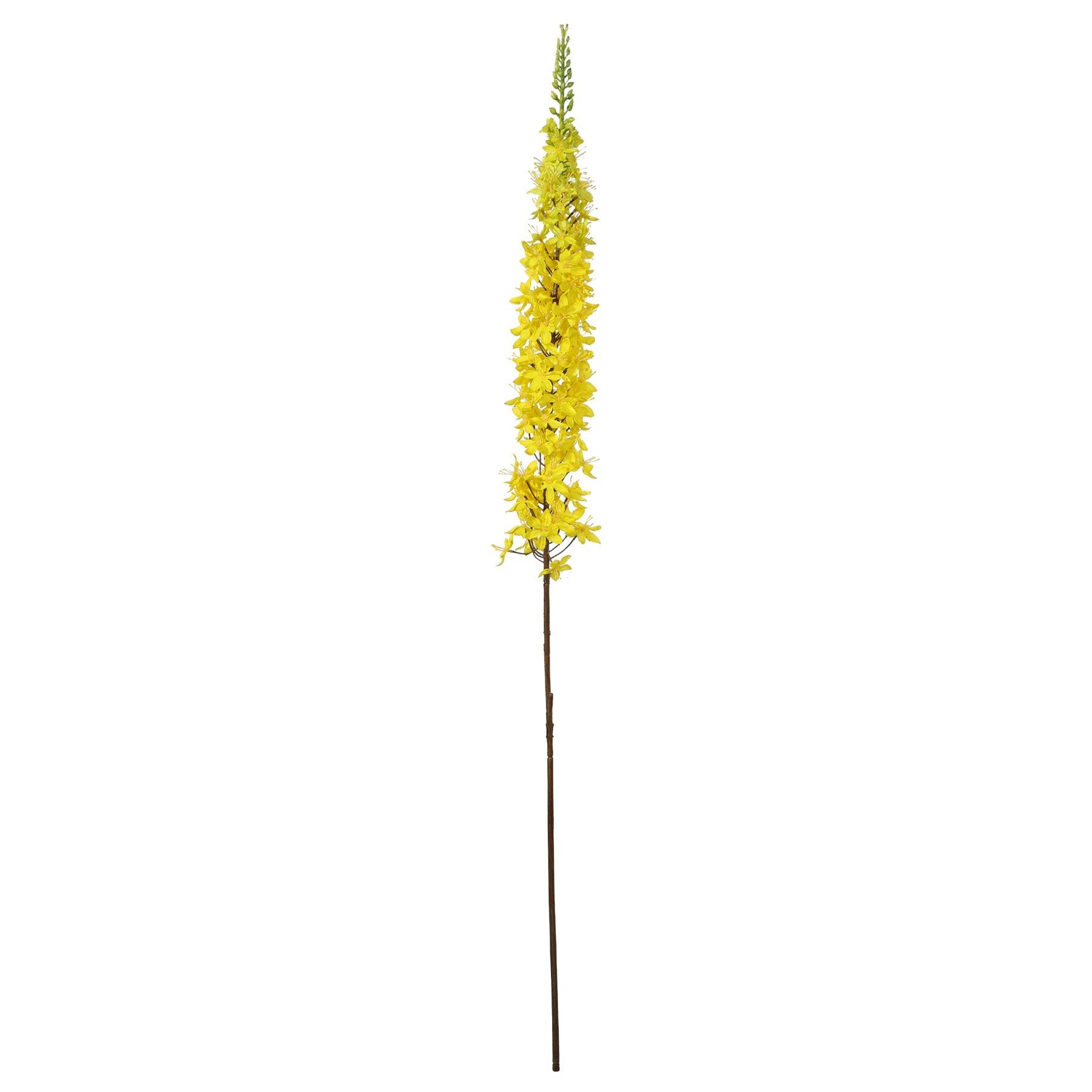 Yellow Foxtail Lily (109cm)