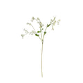 Cream Forget-Me-Not Spray (76cm)