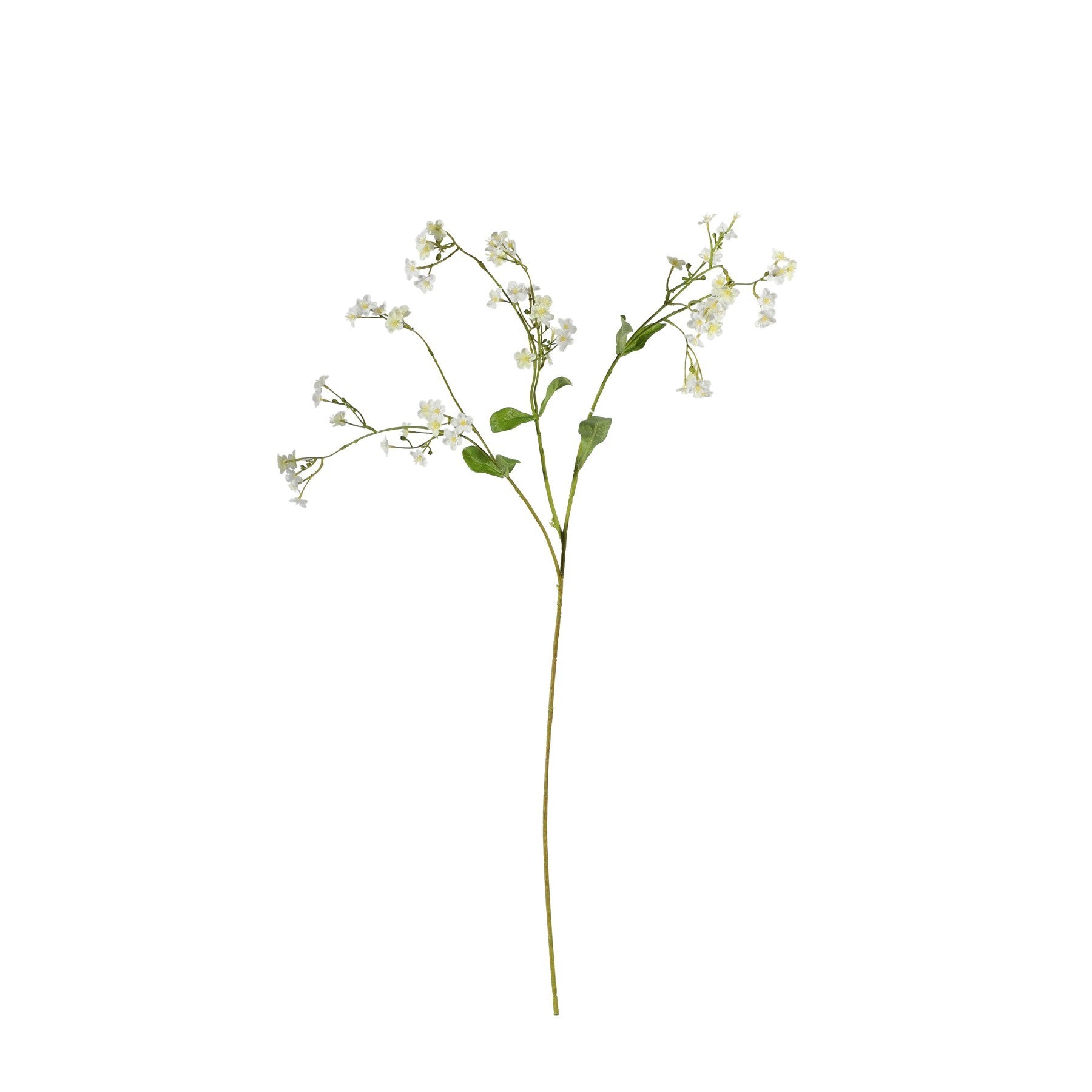 Cream Forget-Me-Not Spray (76cm)