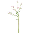 Pink Forget-Me-Not Spray (76cm)