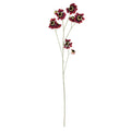 Burgundy Helenium Flower (101cm)