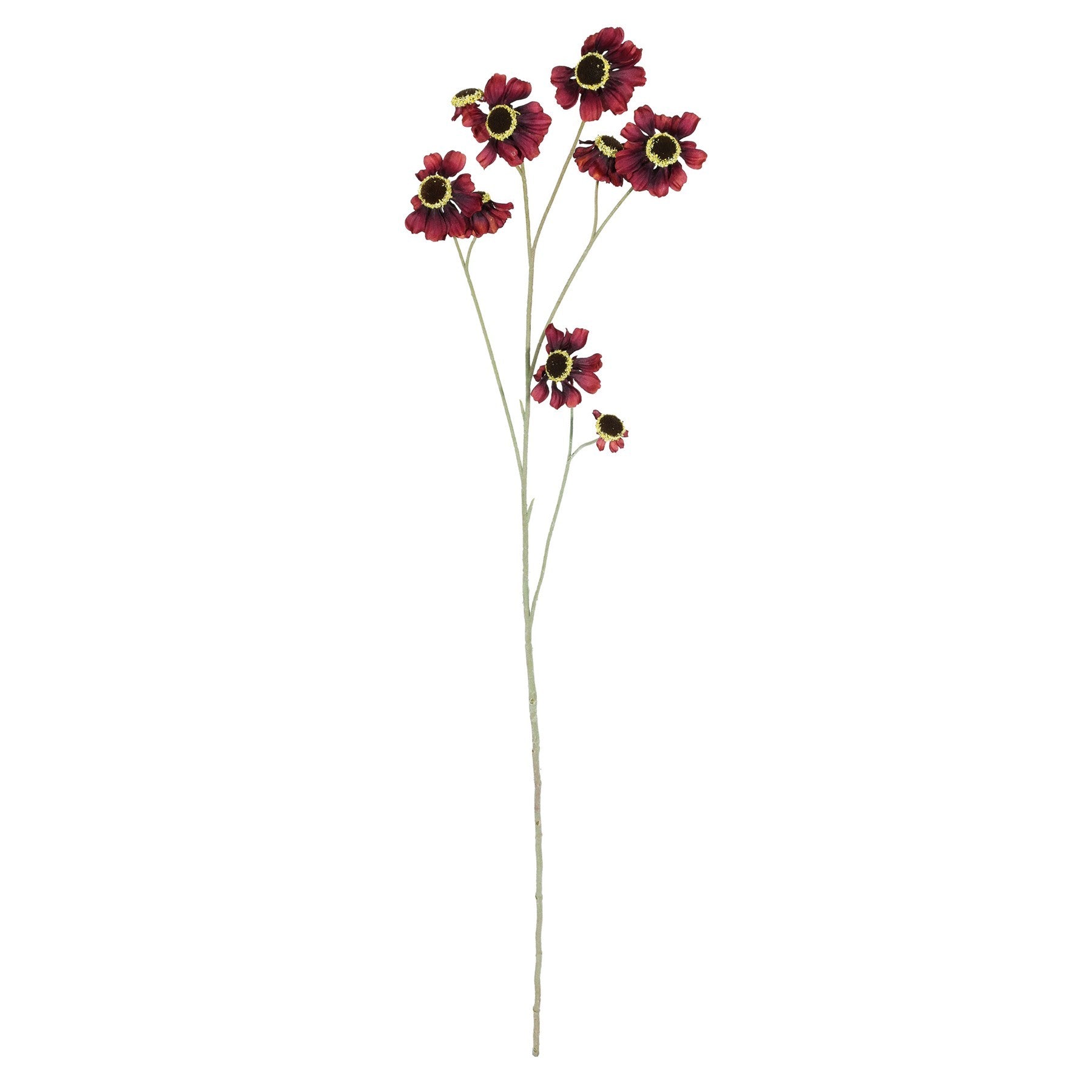 Burgundy Helenium Flower (101cm)