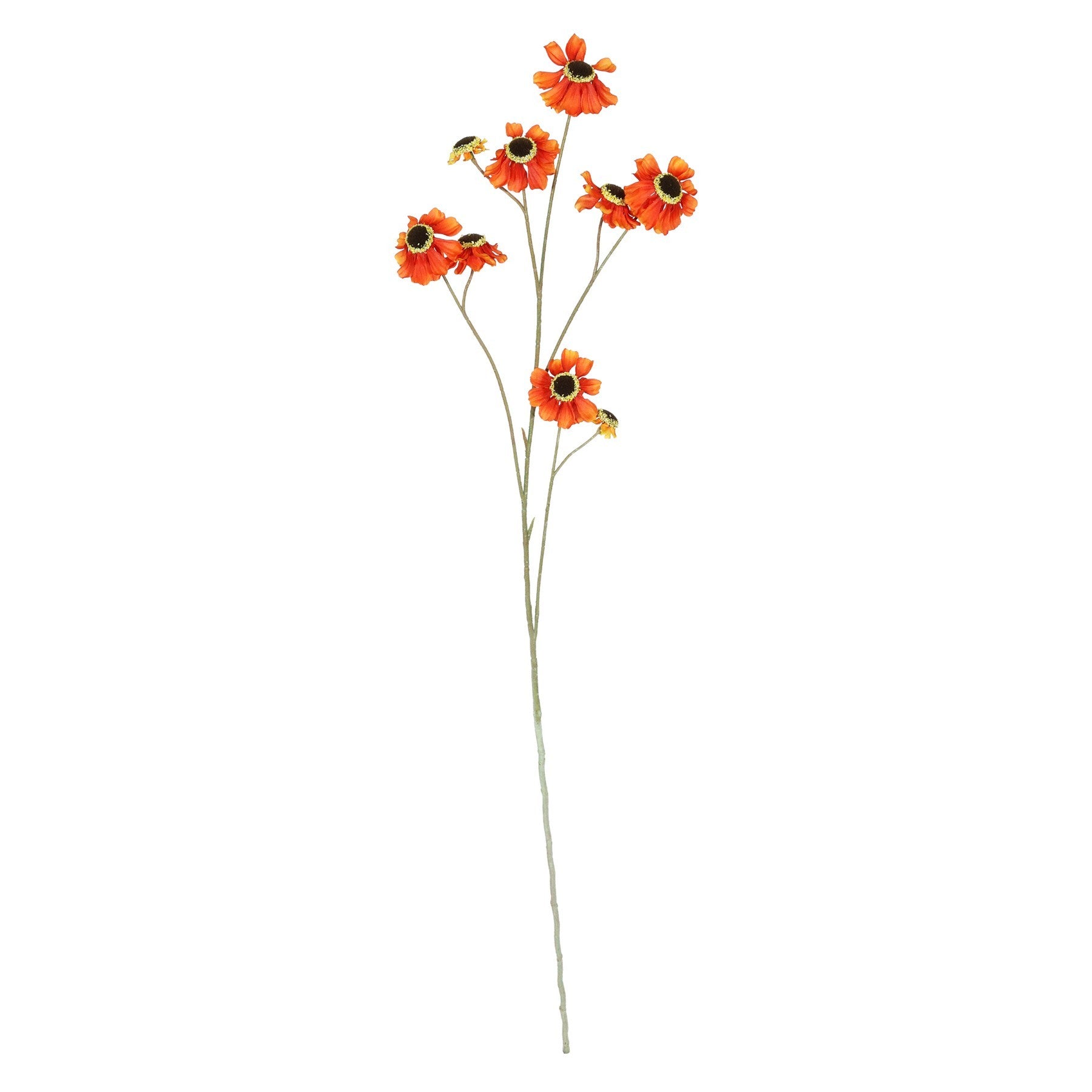 Dark Orange Helenium Flower (101cm)