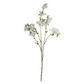 Cream Rhododendron (83cm)