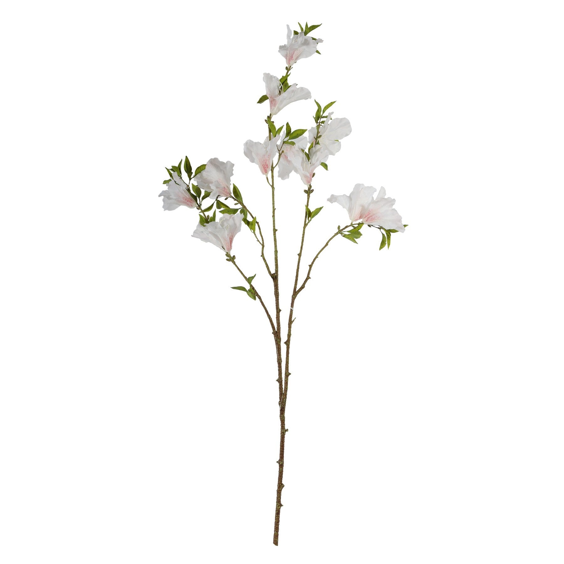Cream Rhododendron (83cm)